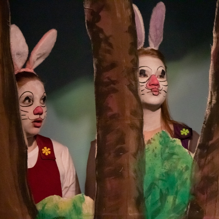 Theatre, Hilliard Arts Council
